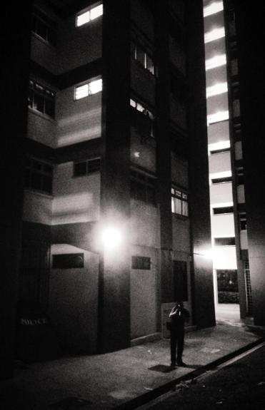 946285_10151820587680839_828114596_n