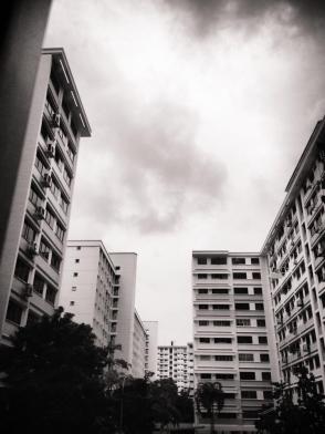 578484_10151934101930839_493521457_n