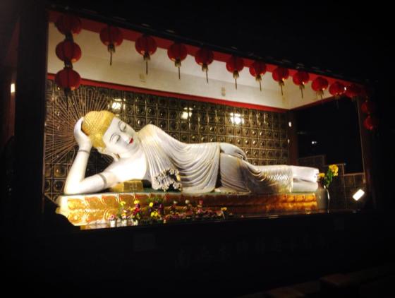 960157_10151971810305839_165322421_n