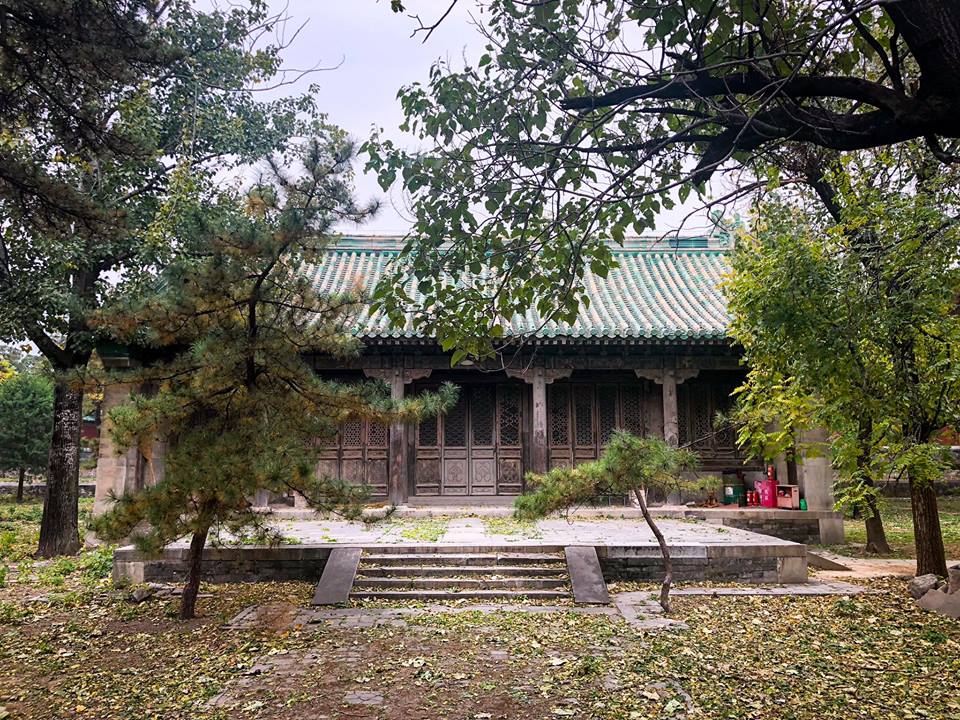 45991452_10157453291955839_4496462800473817088_n