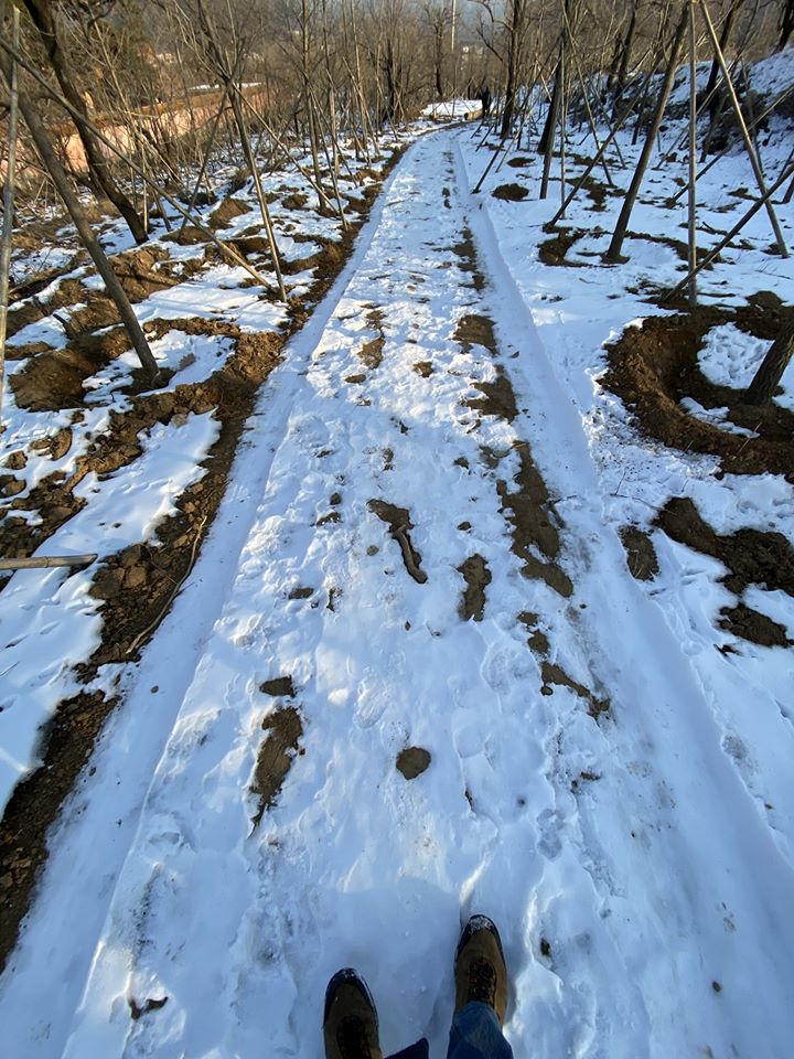 87460421_10158846594625839_8137069885940301824_o