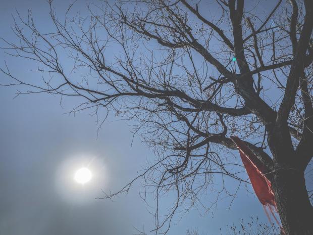 WhatsApp Image 2020-05-07 at 23.16.18 (1)