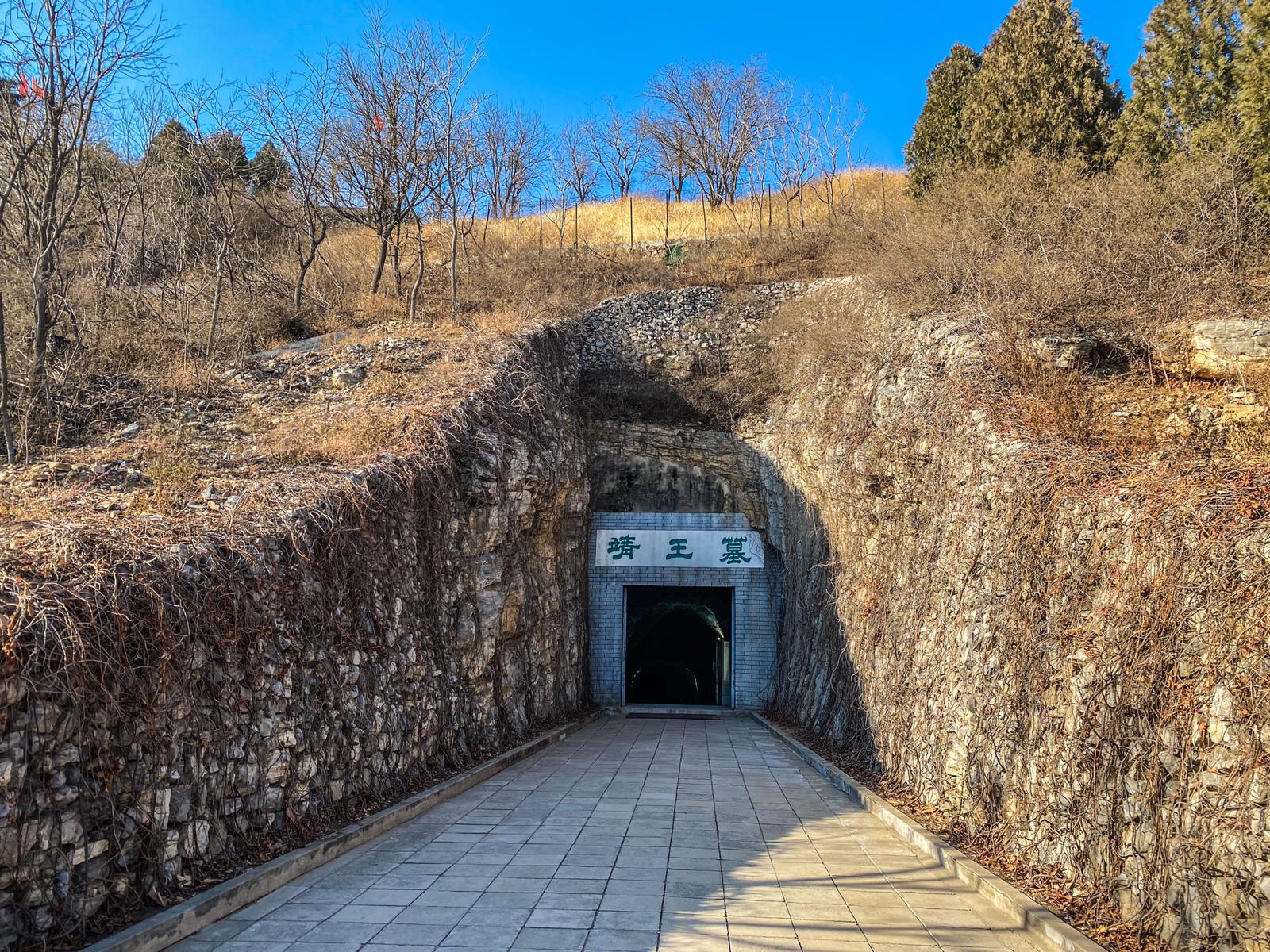 WhatsApp Image 2020-05-07 at 23.16.19